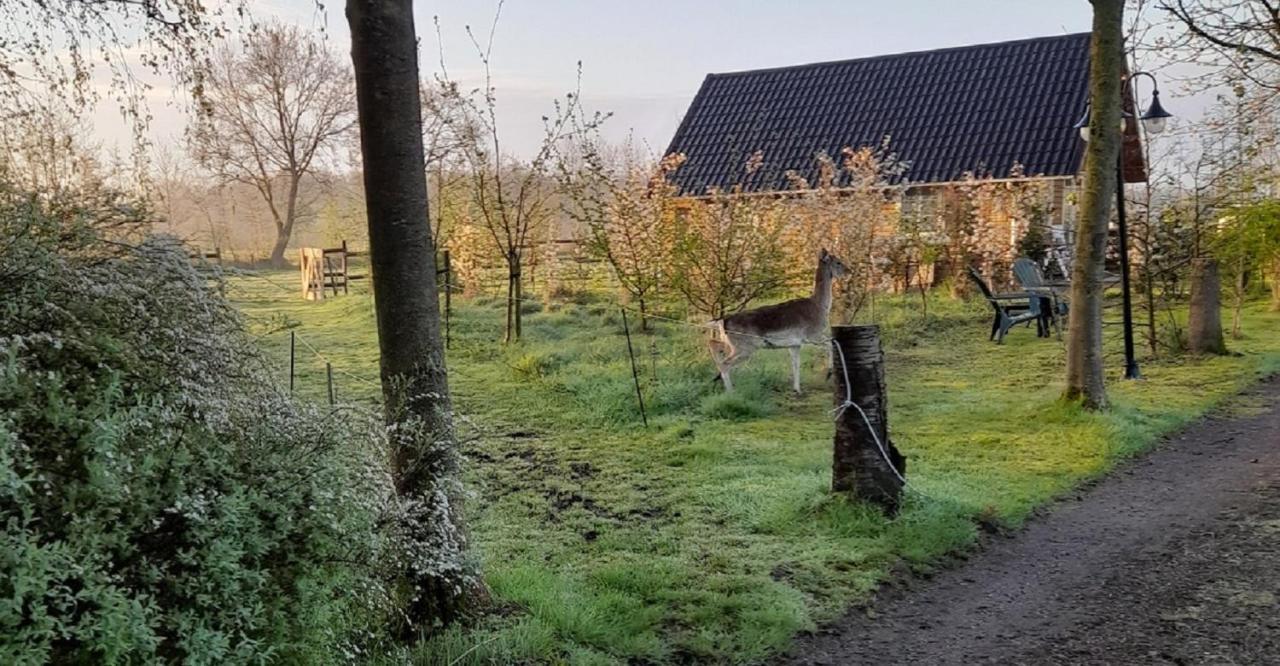 B&B Landgoed Sonneborghe Kollumerzwaag Buitenkant foto