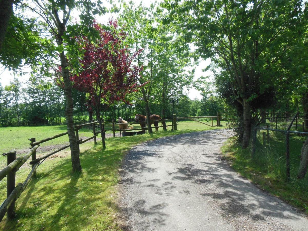 B&B Landgoed Sonneborghe Kollumerzwaag Buitenkant foto